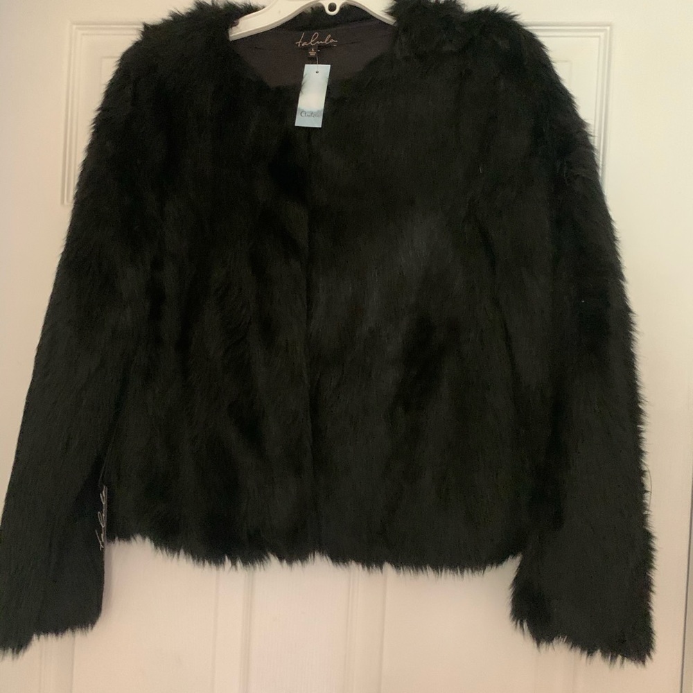 Linden wood jacket